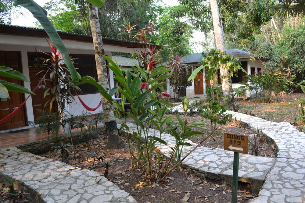 Hotel Jaguar Inn تيكال المظهر الخارجي الصورة