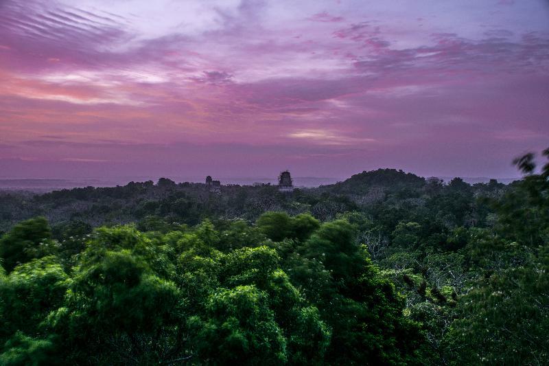 Hotel Jaguar Inn تيكال المظهر الخارجي الصورة